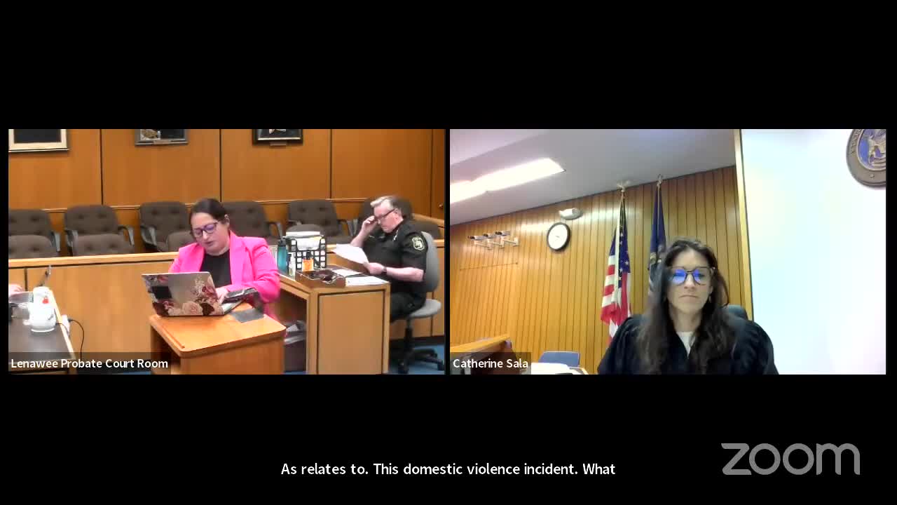 Mother fights for custody amid domestic violence allegations