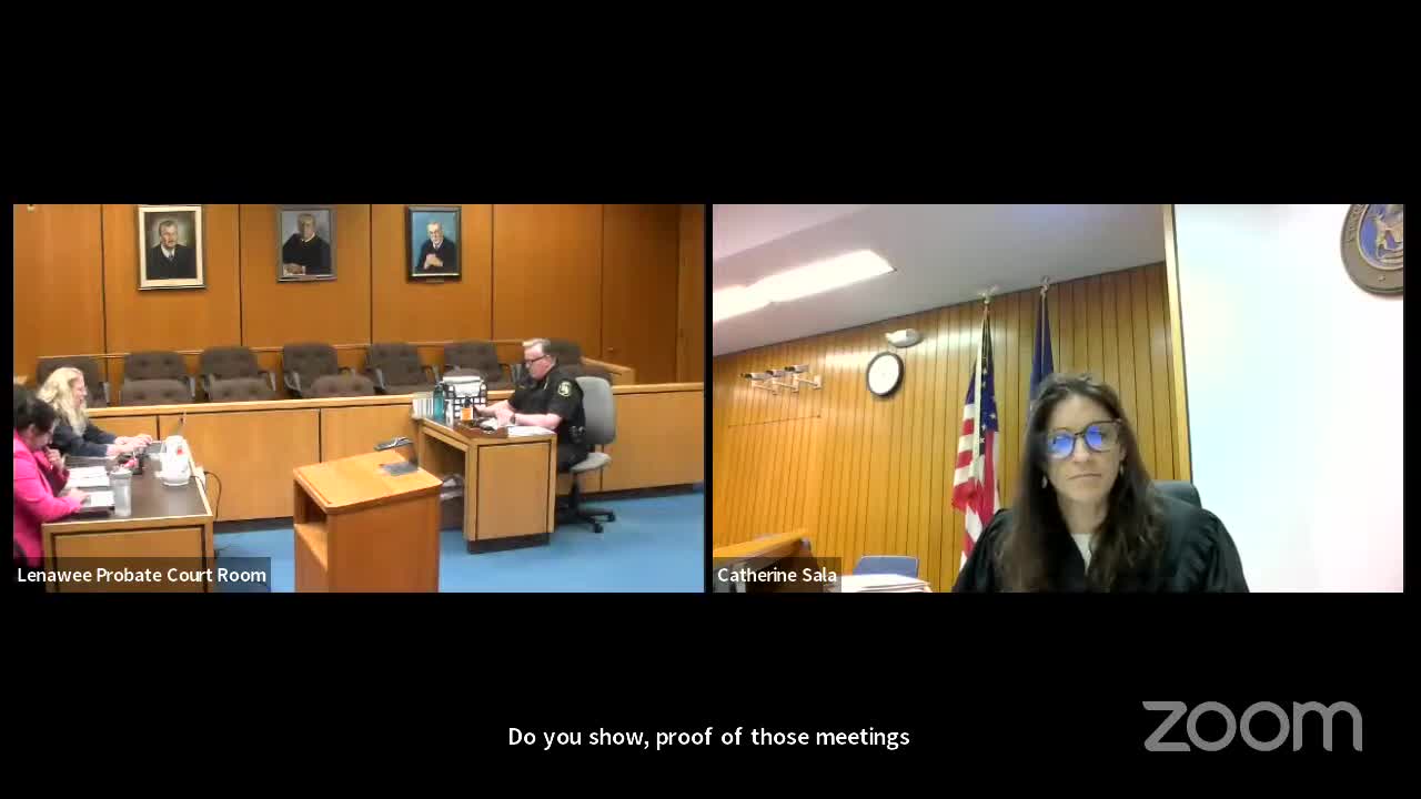 Mother battles for custody amid chaotic court proceedings