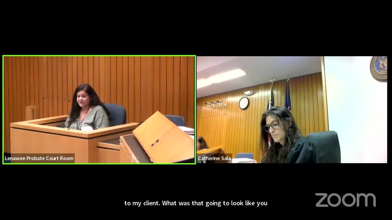 Court grapples with child safety amid domestic violence concerns