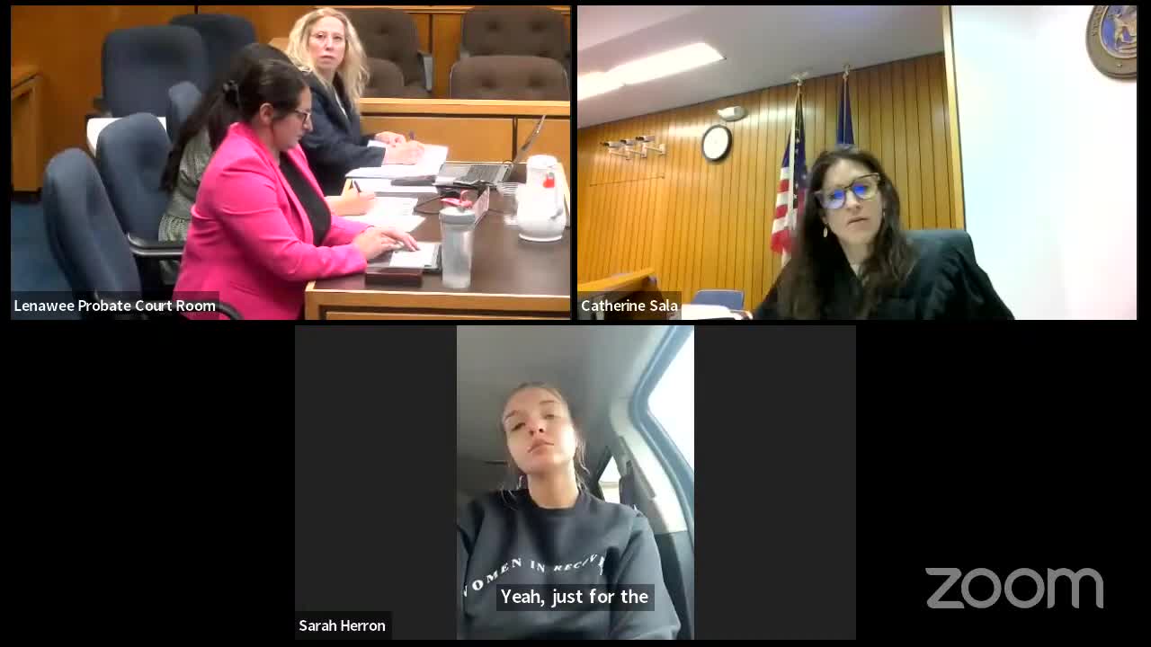 Domestic violence concerns complicate child custody case