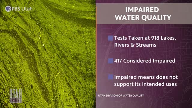 Water quality crisis sparks urgent call for action