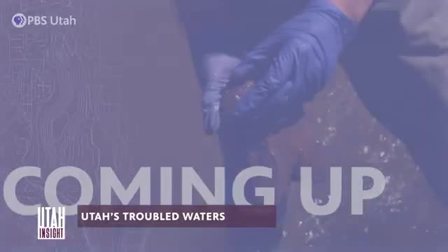Utah's waterways face deadly algae threat as pollution rises