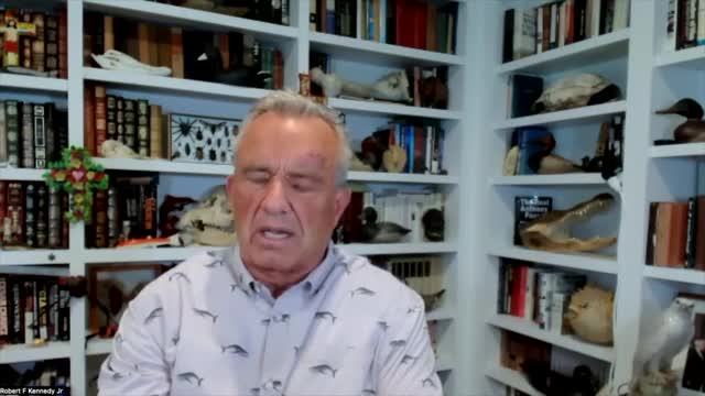 Wind power controversy sparks outrage over endangered species deaths