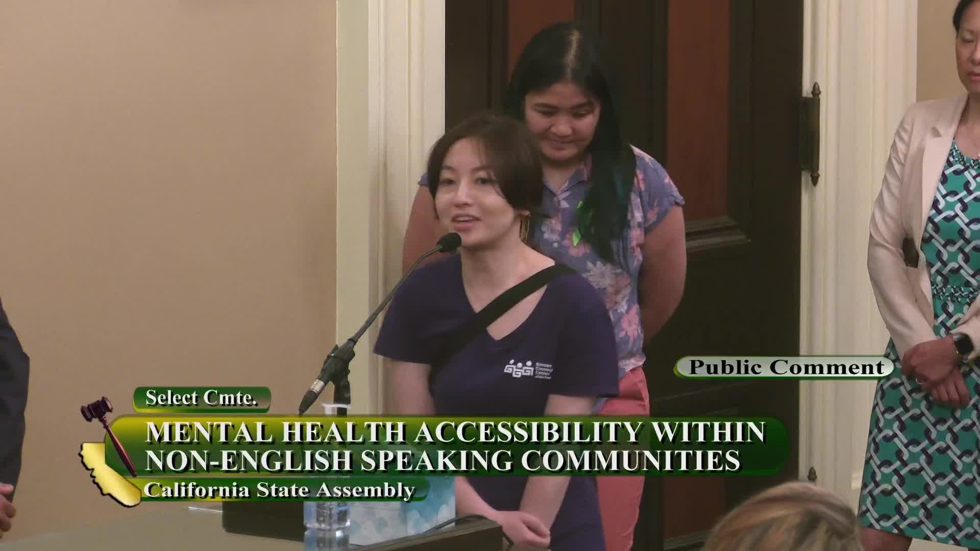 Advocates push for urgent mental health support for youth