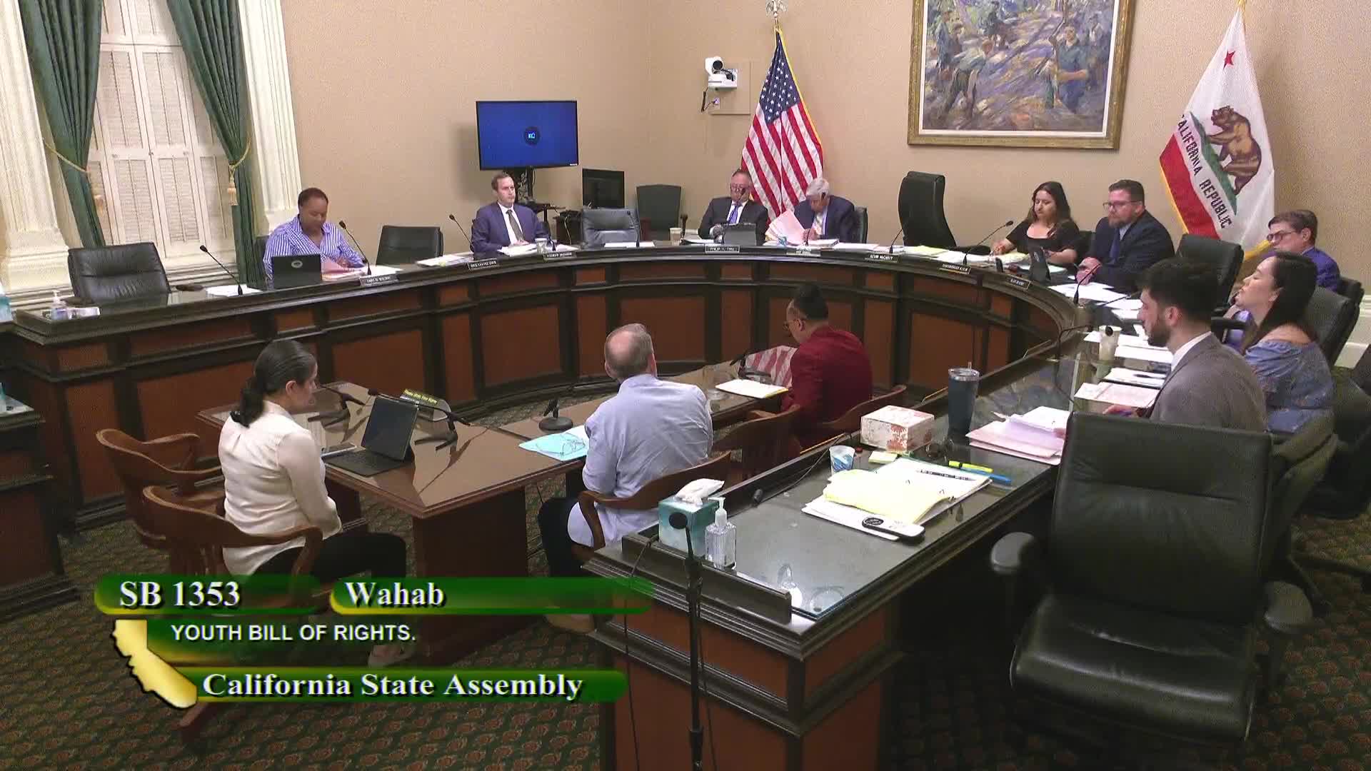 Youth Mental Health Bill Aims to Break Cycle of Incarceration