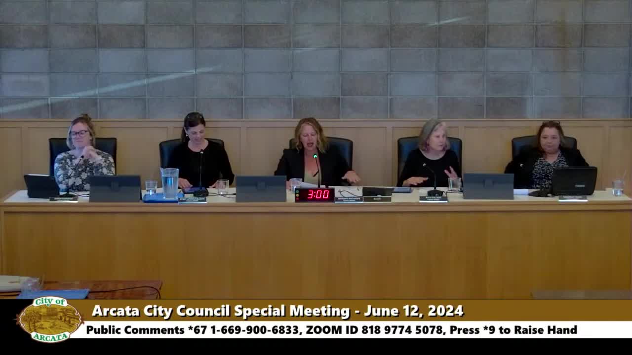 City Council sets stage for pivotal 2024 election