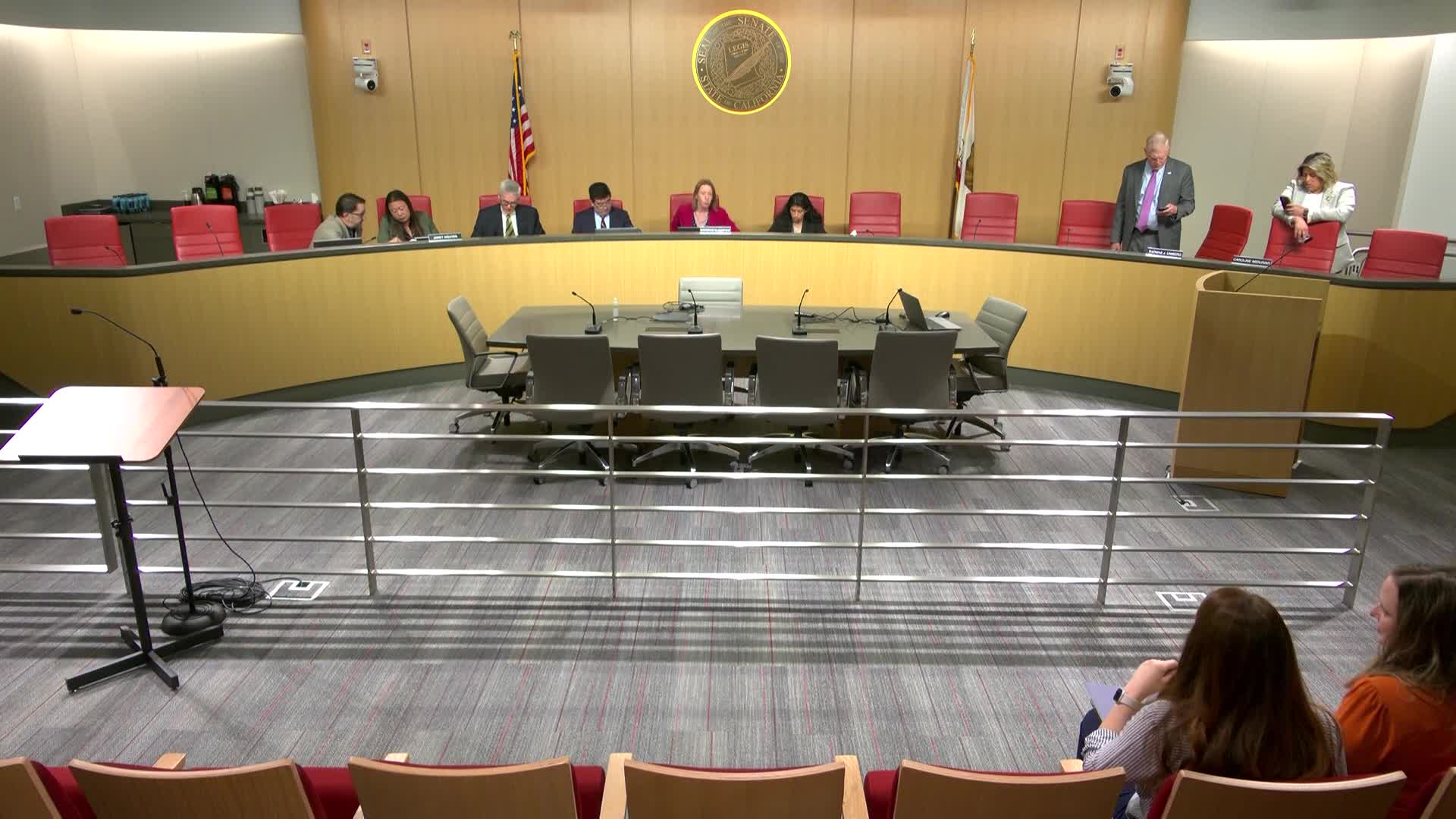 Senate committee tackles AI and elections to protect democracy