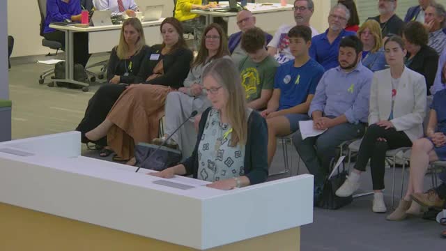 Concerns rise over proposed divestment from Israel