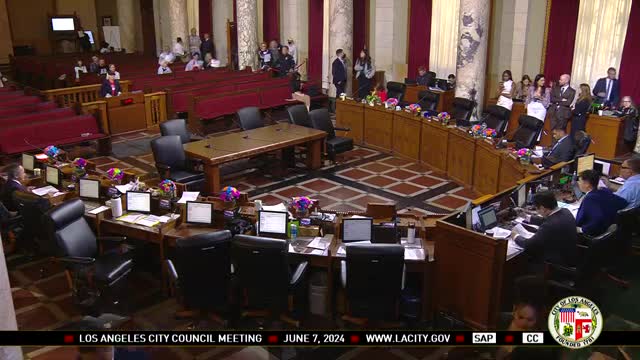 Activists demand immediate ceasefire resolution in LA Council