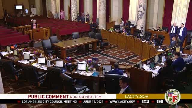 Activists demand city council support for Gaza resolution