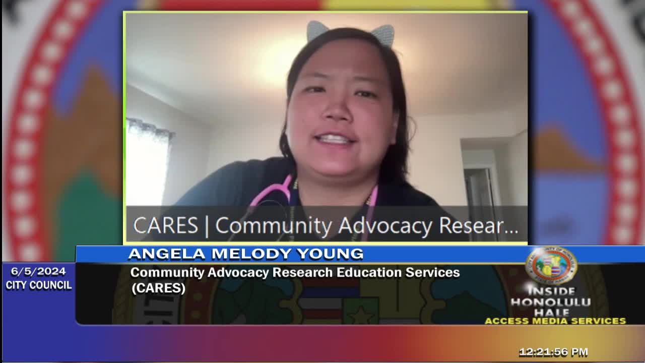 Council passes budget amid heated debate over property tax hikes