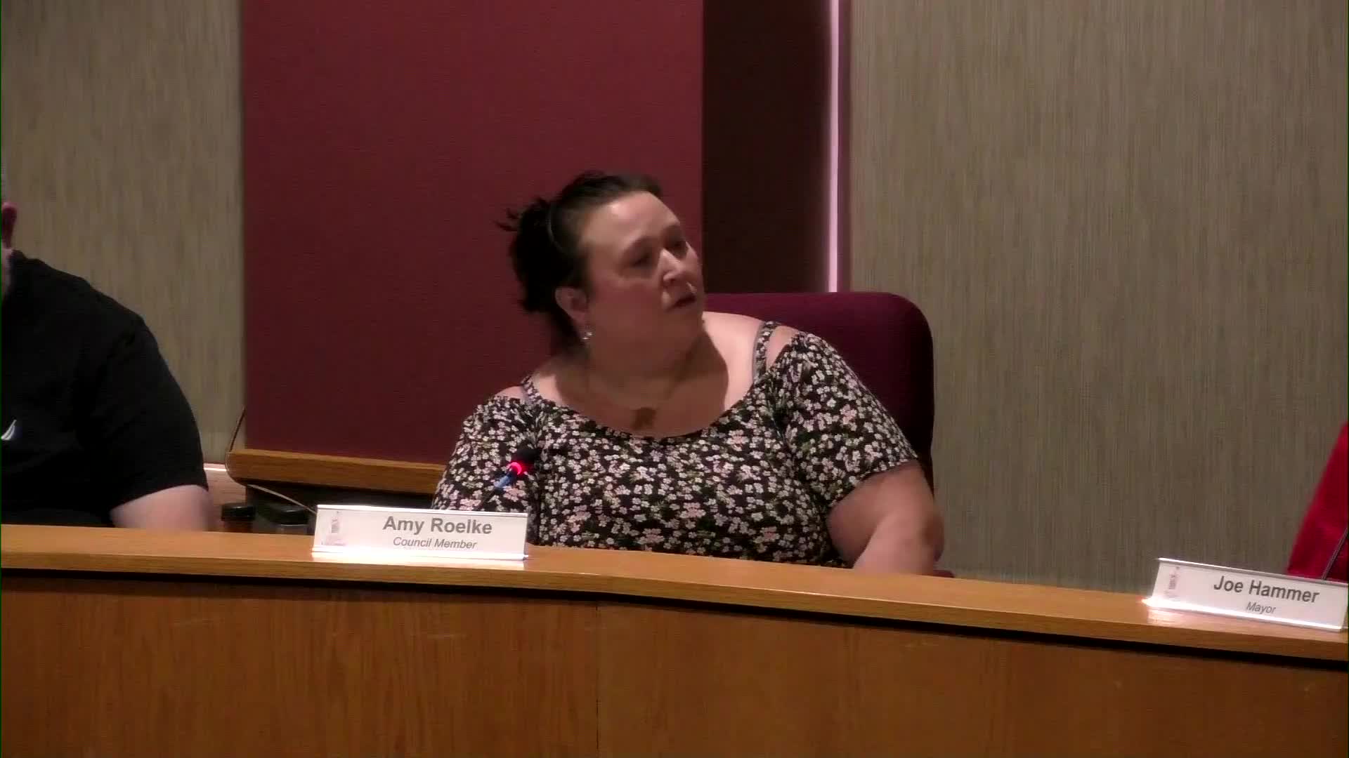 Council moves forward with controversial development agreement