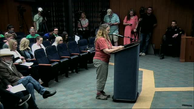 Mother's Heartbreaking Testimony on Miscarriage and Healthcare Struggles