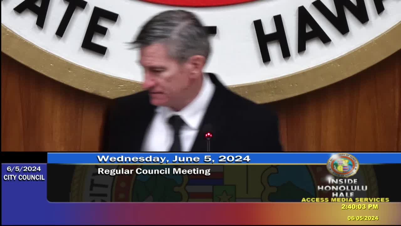 Council passes steep fines and fees for monster homes