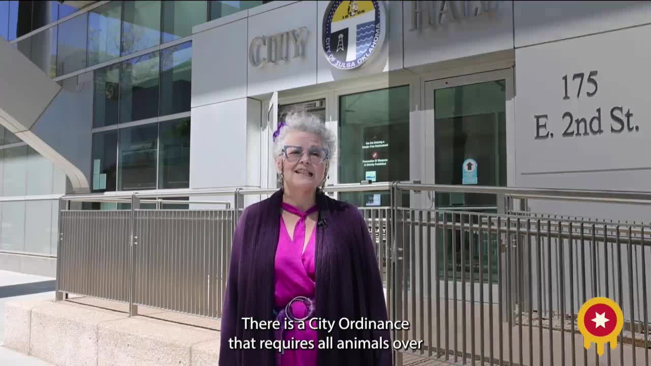 City ordinance sparks debate on pet ownership responsibility