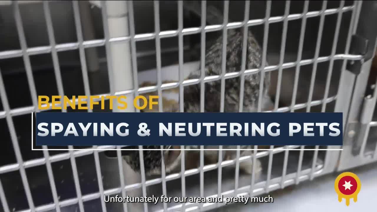 Oklahoma faces crisis as pet overpopulation soars