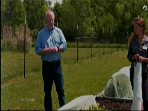 Innovative insect netting protects crops without chemicals