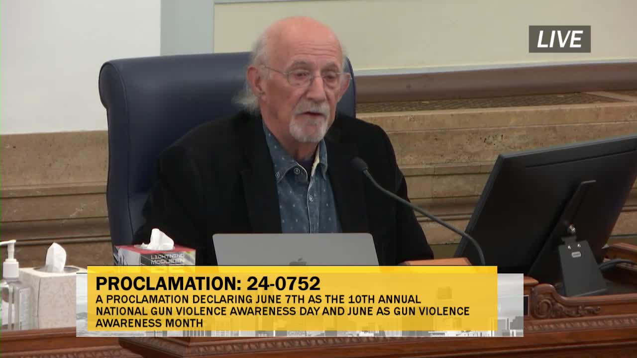 Council members demand urgent action on gun violence crisis