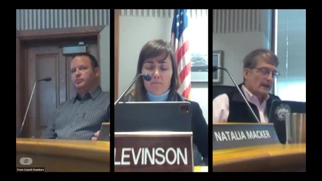 Town debates tax strategies amid budget crisis