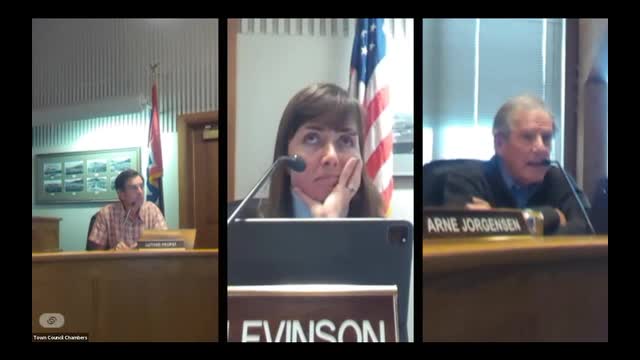 Council debates urgent tax reforms to support struggling residents