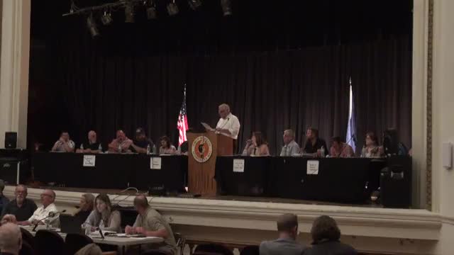 Town approves major tax boost for downtown revitalization