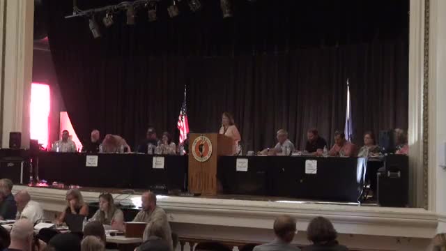 Town meeting sets stage for crucial budget decisions