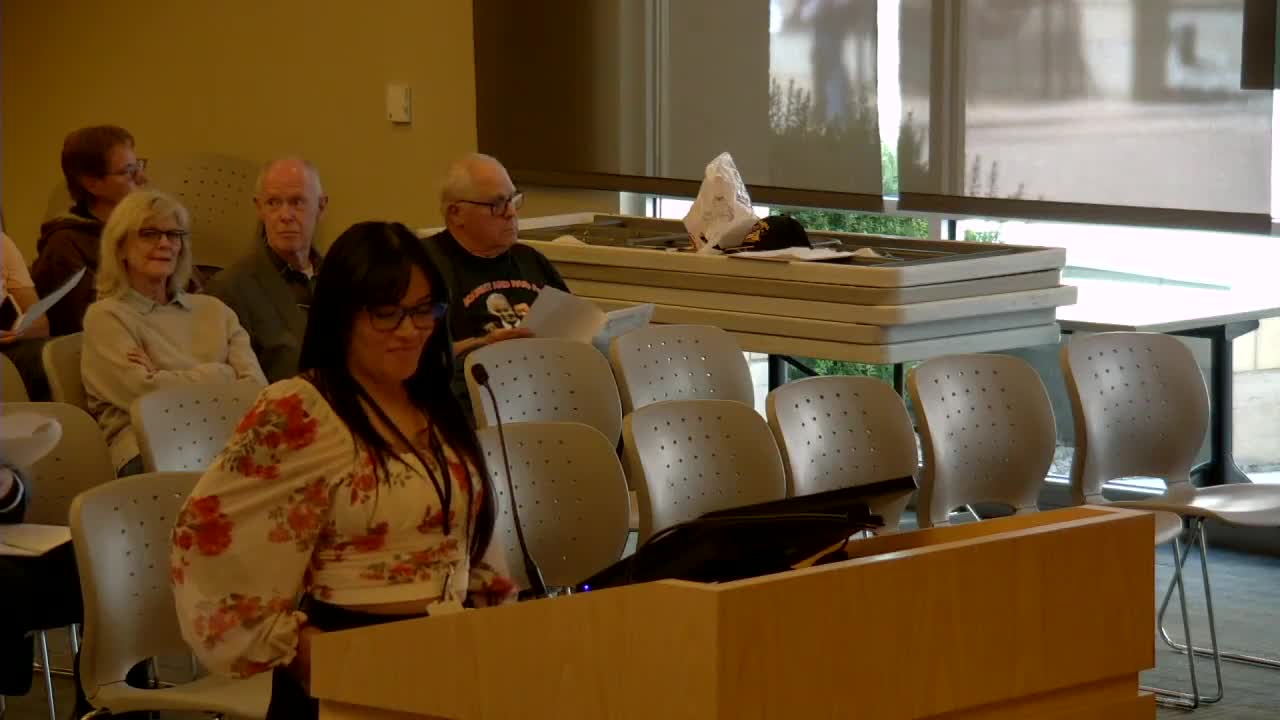 Election turnout plummets amid ballot challenges and double voting