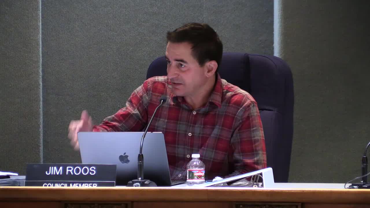 City leaders debate urgent tax strategies for budget crisis