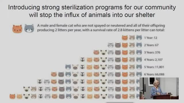 Animal advocates call for urgent action to curb overpopulation