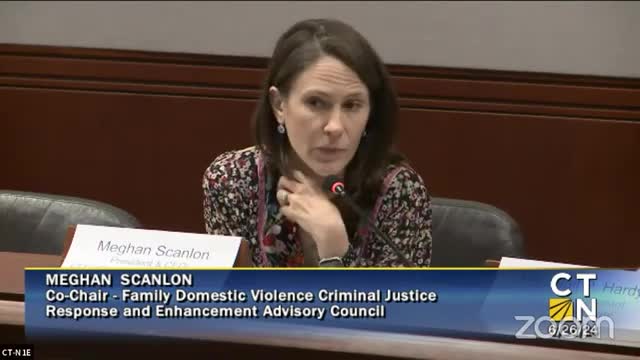 Experts share strategies to combat firearm access in domestic violence