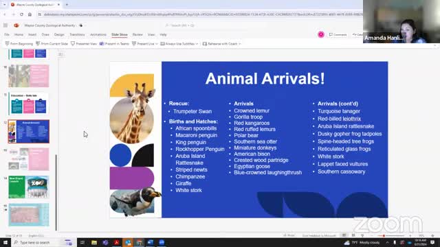 Detroit Zoo celebrates first breeding gorilla family and new app