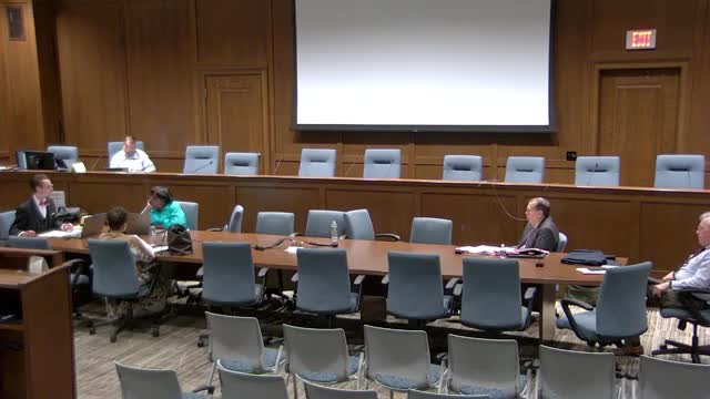 City leaders propose transformative changes for community representation