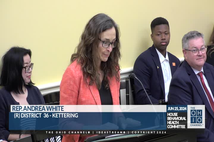 Lawmaker champions mental health bill for suicide prevention