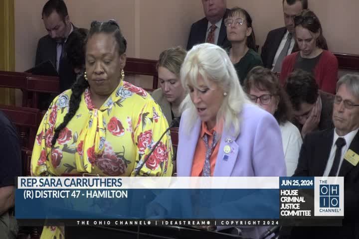 Ayesha's Law aims to combat rising domestic violence crisis