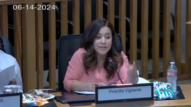 City Council Debates Data Center Regulations Amid Resident Concerns