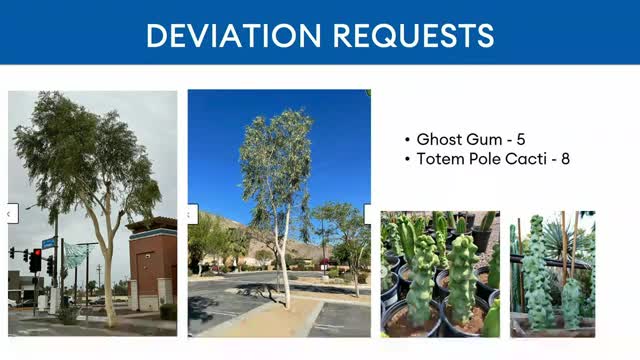 City Plans Controversial Tree Replacement for Park Renovation