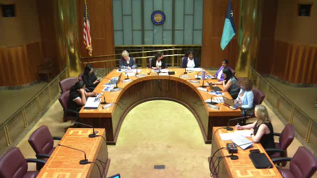 City Council Prepares for Major Sibley Park Development Vote