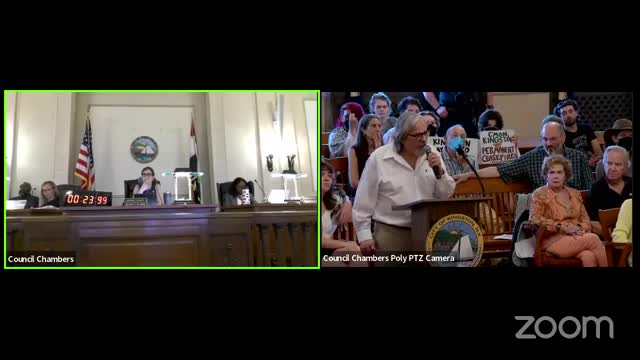 Council debates divisive resolution amid escalating Middle East tensions