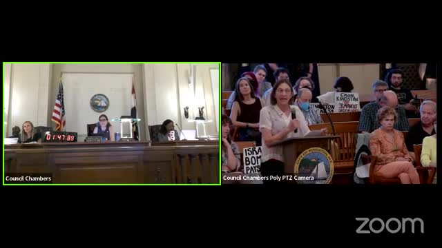 Council faces backlash over silence on global humanitarian crises