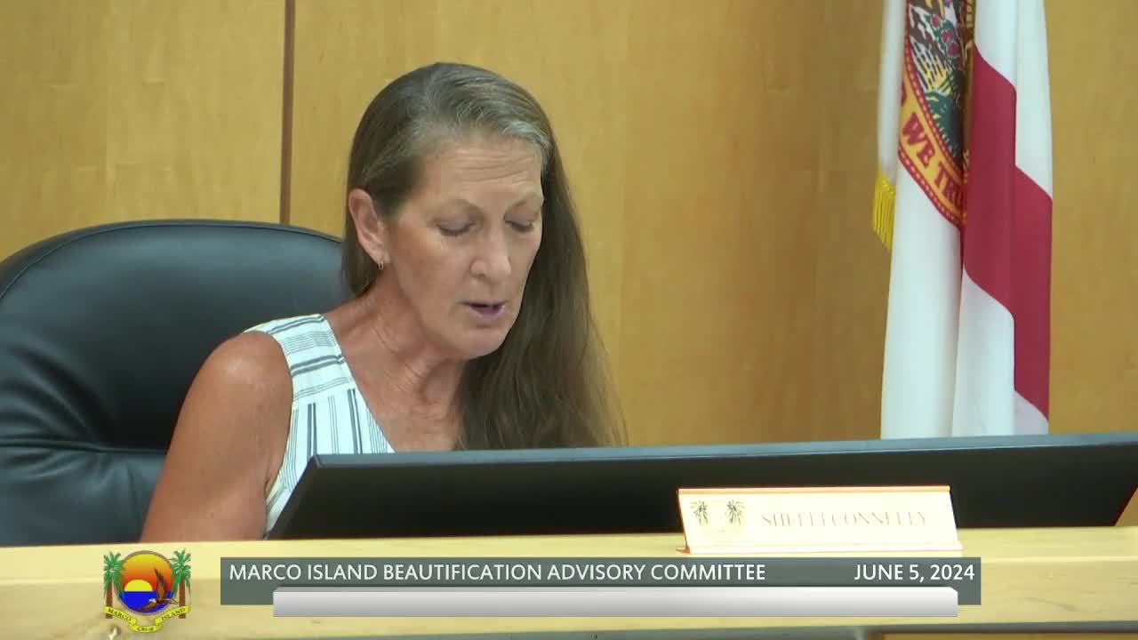 Community Pushes for Colorful Park Revamp