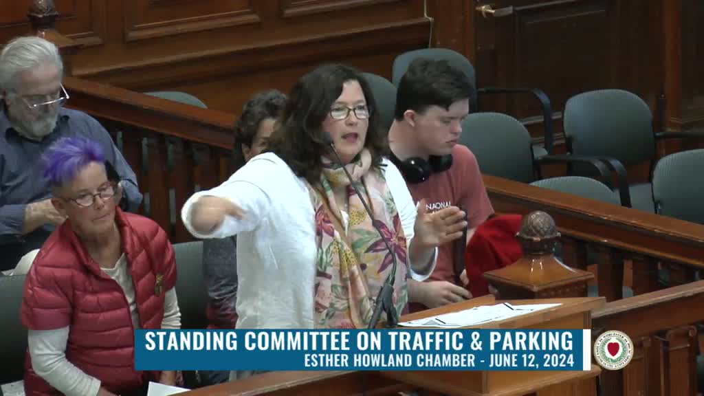 Speeding Concerns Spark Urgent Call for Traffic Solutions