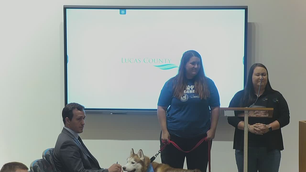 Reuniting families with pets during fireworks season