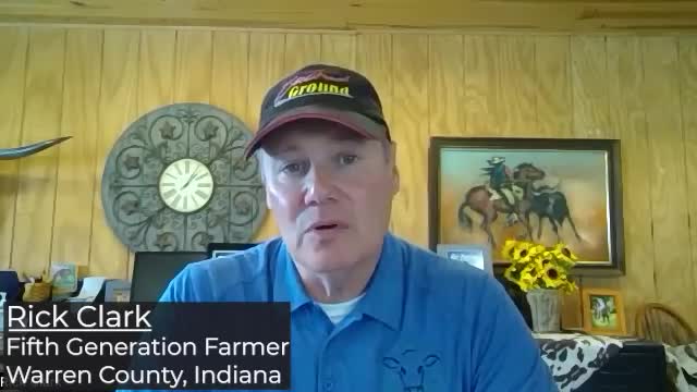 Farmers face challenges as organic bean prices plummet