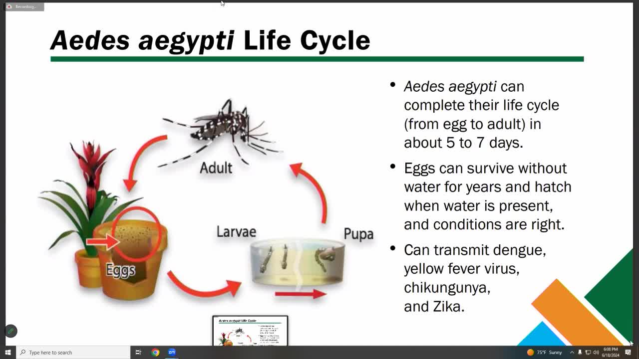 Mosquito control program targets billion eggs in Orange County