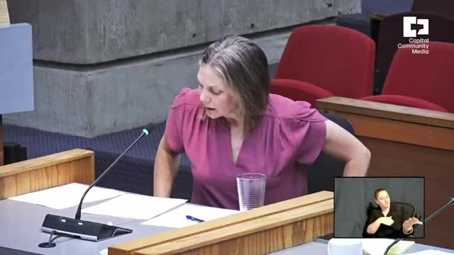 Council debates crucial funding for affordable housing projects