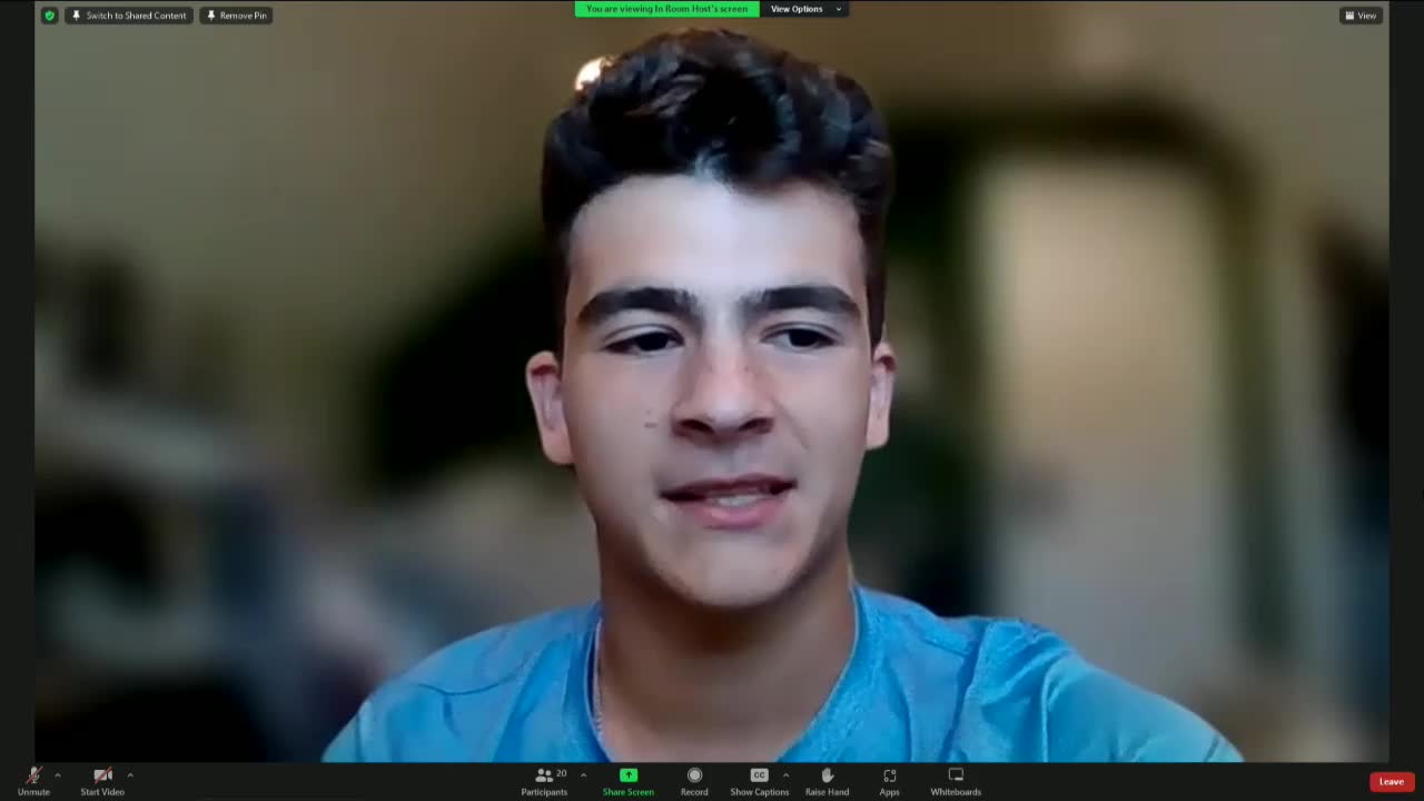 Students rally to save essential learning websites from ban