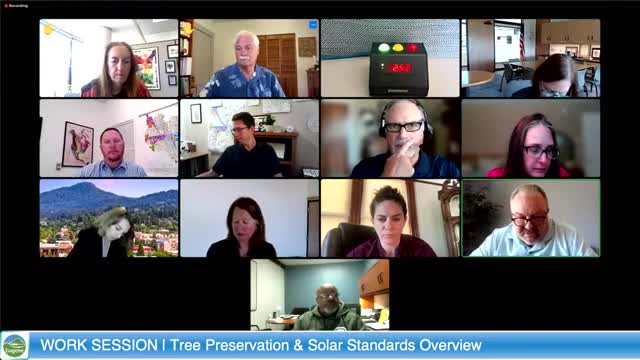 City's permit process under scrutiny after tree damage incident