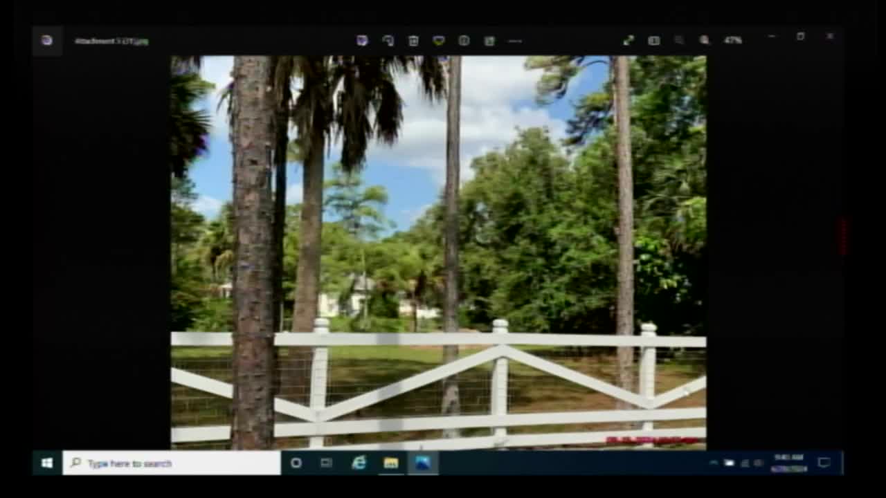 Code Compliance Hearing Sparks Controversy Over Chicken Coop