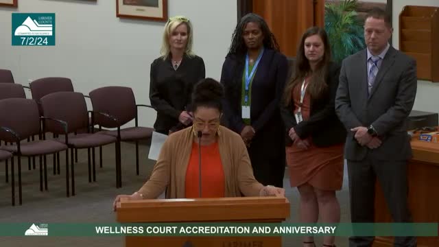 Wellness Court celebrates decade of transformative justice and healing