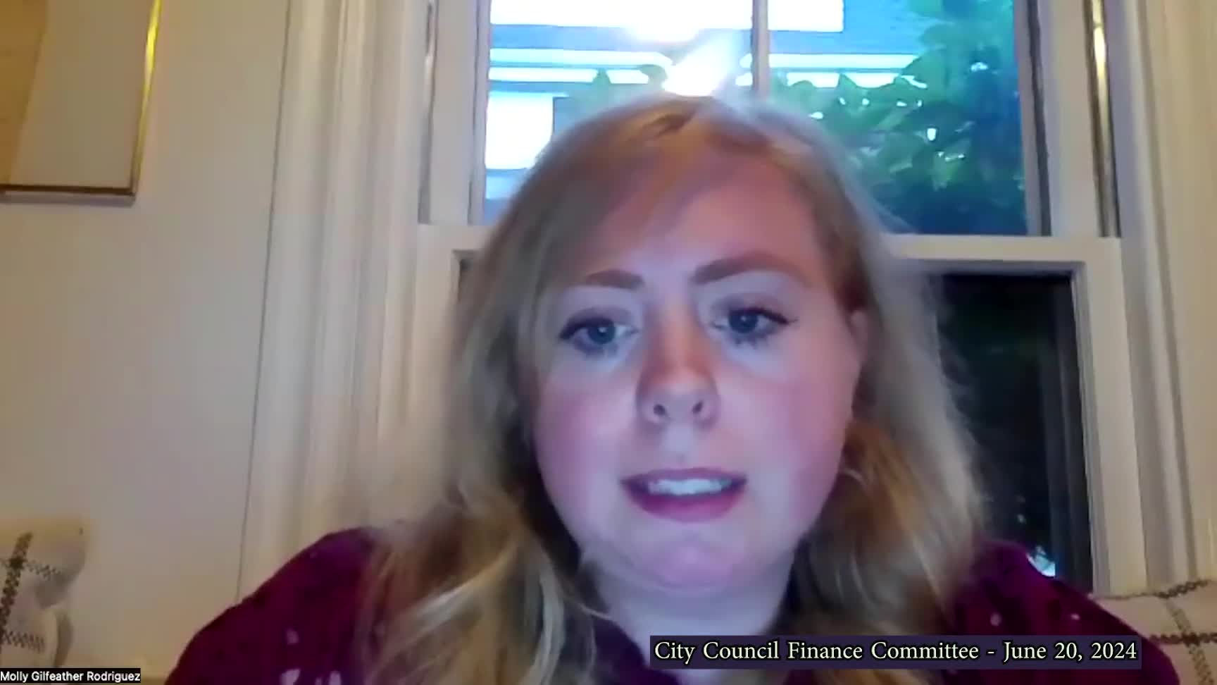 Council Faces Budget Crisis Amidst Department Deficits